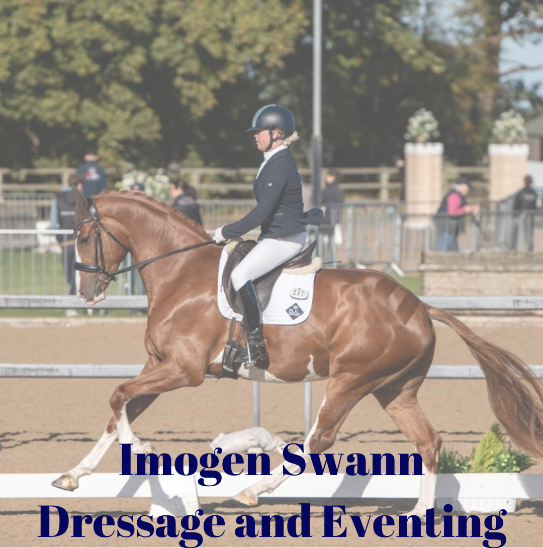 Chantelle Oliver-Symonds Dressage (5)