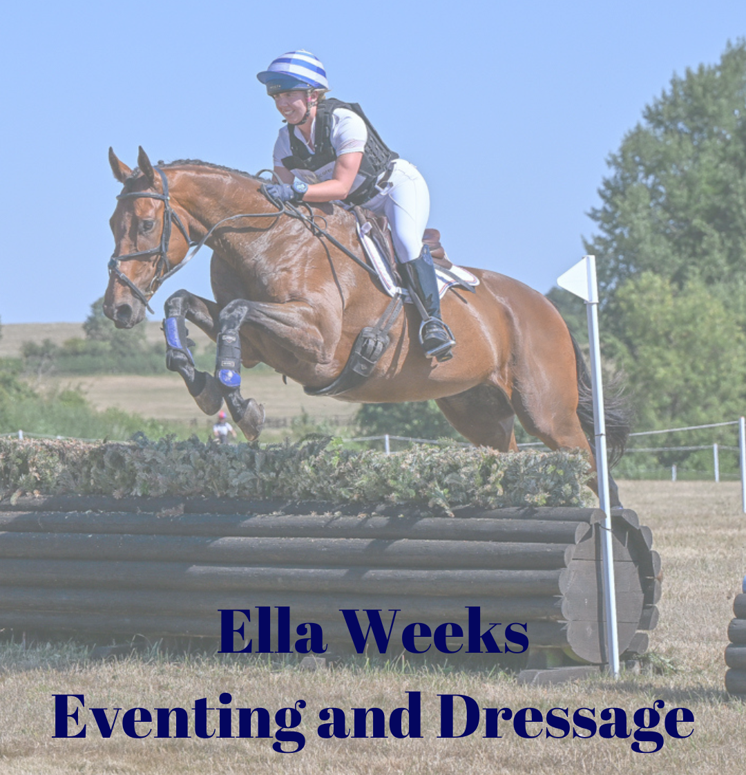 Chantelle Oliver-Symonds Dressage (8)